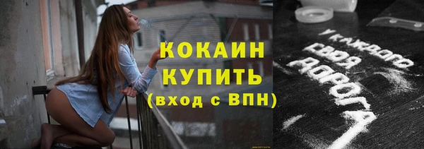 индика Арсеньев