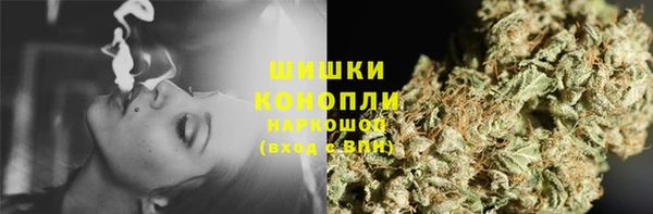 индика Арсеньев