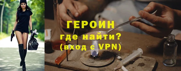 индика Арсеньев