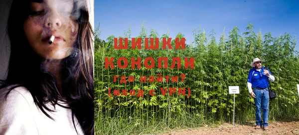 индика Арсеньев