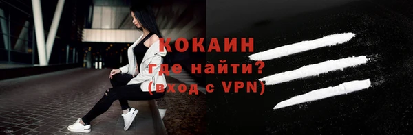 индика Арсеньев
