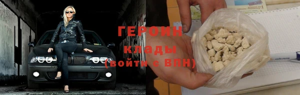 индика Арсеньев