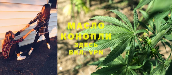 индика Арсеньев