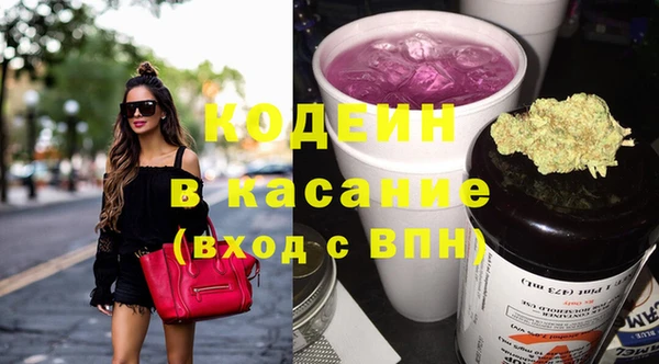 индика Арсеньев