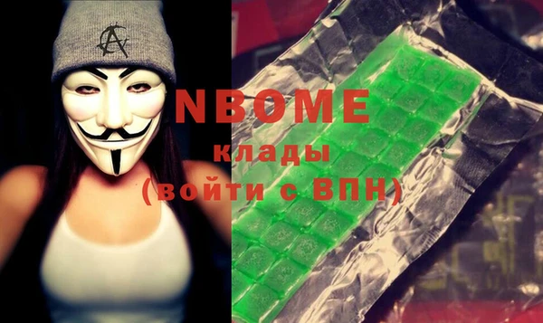 индика Арсеньев