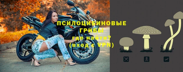 индика Арсеньев