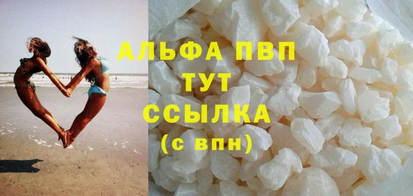 индика Арсеньев