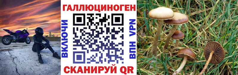 Галлюциногенные грибы мухоморы  Таштагол 