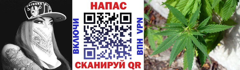 Бошки Шишки планчик  как найти закладки  Таштагол 